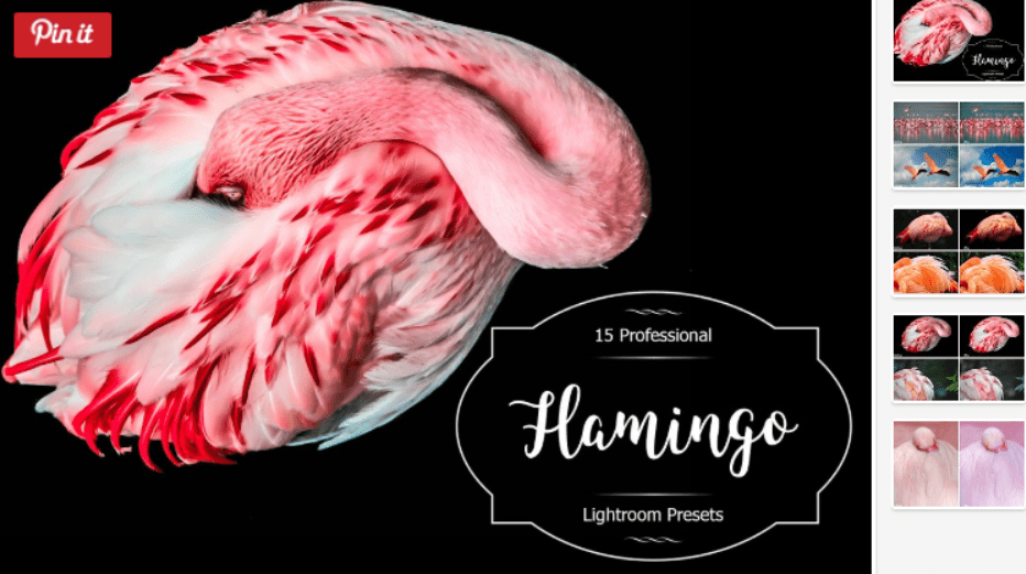 Изображение [creativemarket] Flamingo Lr Presets в посте 200657