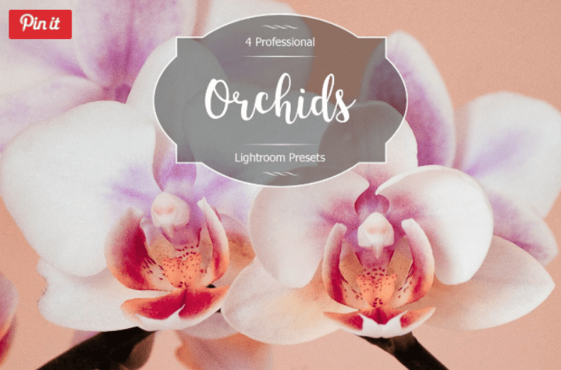Изображение [creativemarket] Orchids Lr Presets в посте 201330