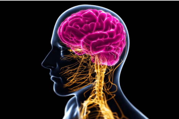 Изображение [Центр Шерома] Ульвия Голденбрук - Исцеление нервной системы с помощью аромамедицины (2022) в посте 252074