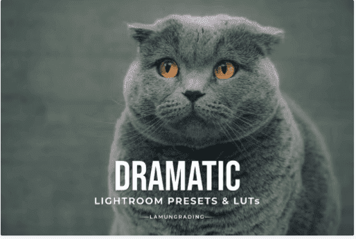 Изображение [elements.envato] Dramatic Lightroom Presets & LUTs (2022) в посте 253282