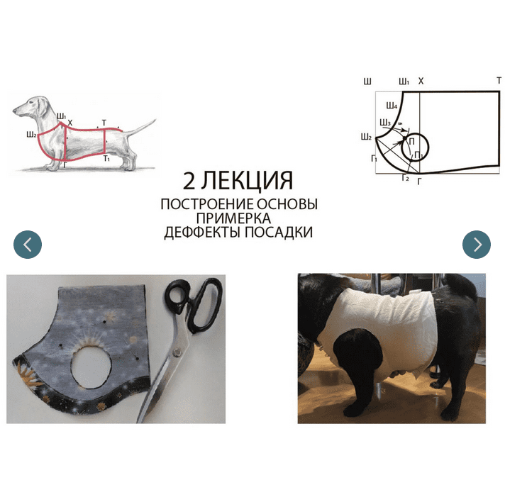 Изображение [Антонина Баранова] [Pet Pants] [Шитье] Конструирование и пошив одежды для домашних животных (2022) в посте 288135