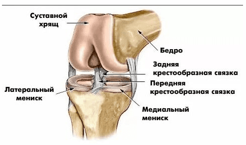 Изображение [Мирослав Кокош] Уверенная диагностика и правильная терапия. Коленный сустав (2022) в посте 302955