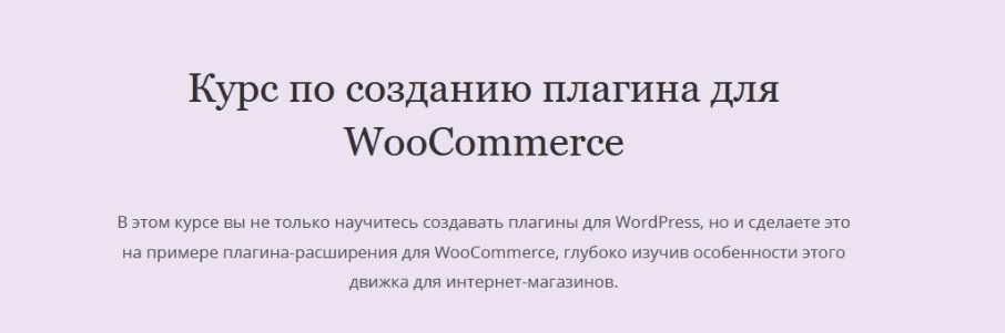 Изображение [Миша Рудрастых] Курс по созданию плагина для WooCommerce (2021) в посте 302969