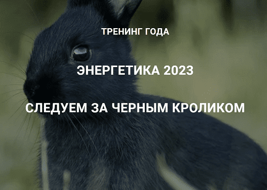 Изображение [Дмитрий Лаптев] [Дао-Сфера] Энергетика 2023. Следуем за черным кроликом (2023) в посте 303642