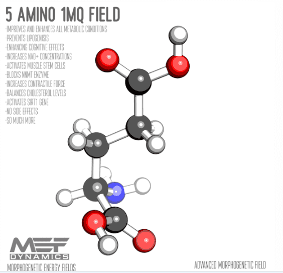 Изображение [MEF Dynamics] 5 Амино 1MQ (2023) в посте 316072