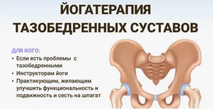 Изображение [Андрей Ткаченко] Йогатерапия тазобедренных суставов 2+1 (МК сентябрь 2023) в посте 358912