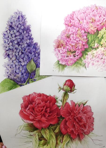 Изображение [Евгения Щеглова] Цветы цветными карандашами (2023) в посте 365733
