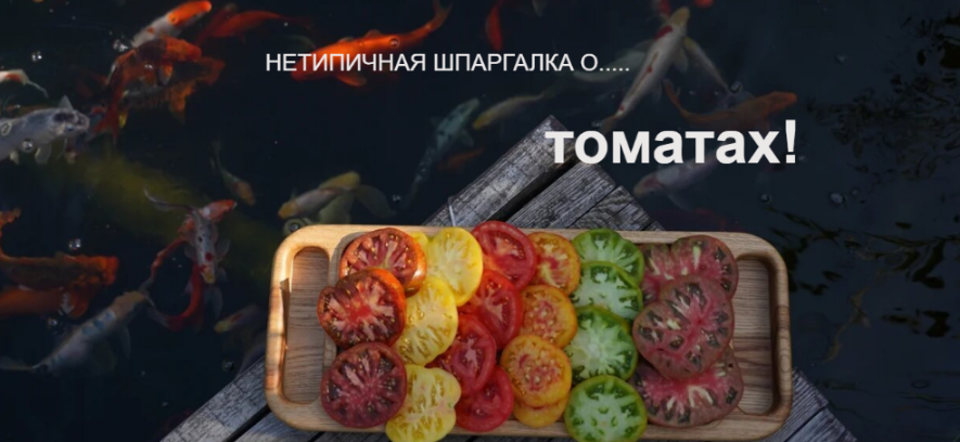 Изображение Нетипичная шпаргалка о томатах (2020) - Анна Акинина в посте 371985