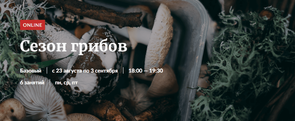 Изображение [Александр Цуканов] Сезон грибов (2022) в посте 282226