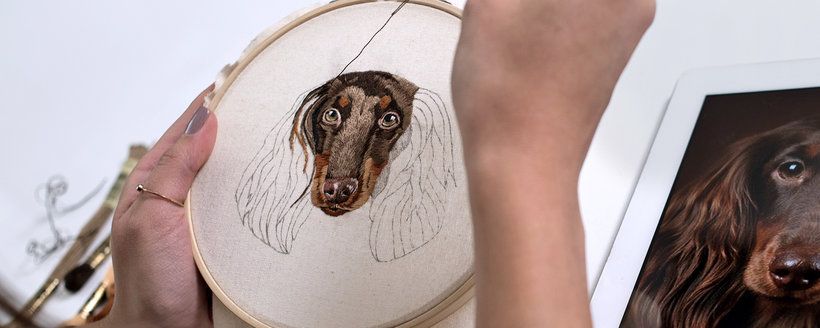 Изображение [Valentina Castillo] [Domestika] Вышитые портреты животных. Рисование иглой для начинающих (2022) в посте 262151