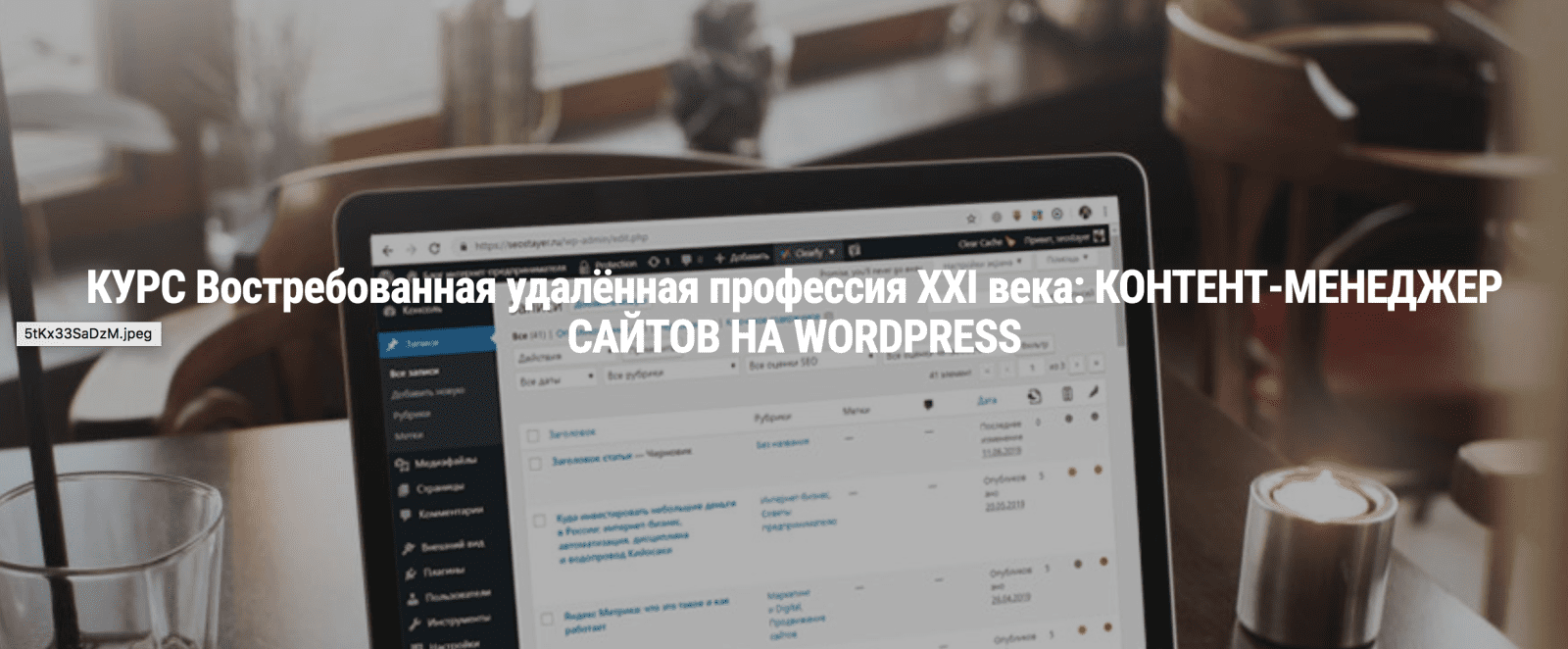 Изображение [Seostayer] Профессия: контент-менеджер сайтов на Wordpress (2021) в посте 244654