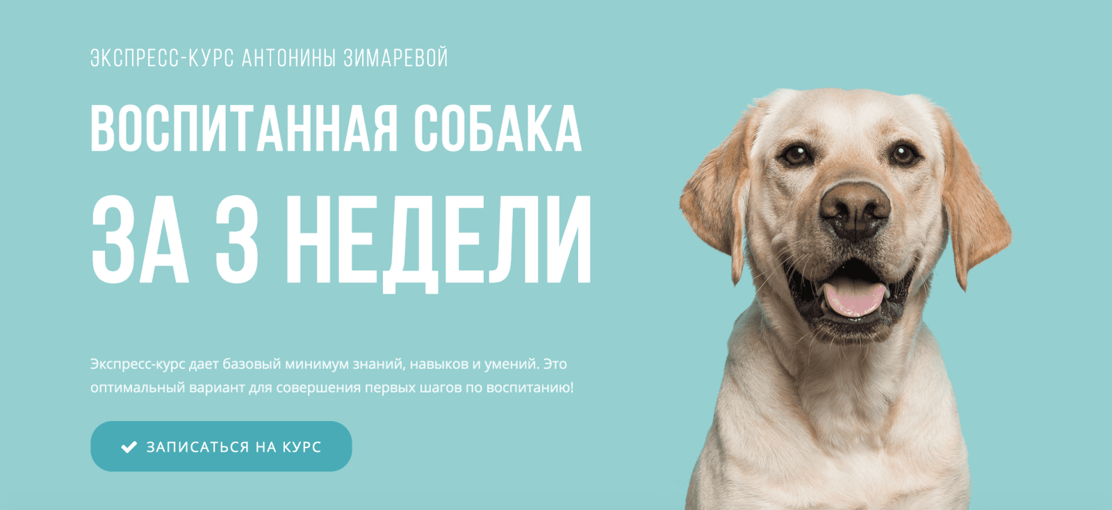 Изображение [Kinolog School] Антонина Зимарева - Воспитанная собака за 3 недели (2021) в посте 251823