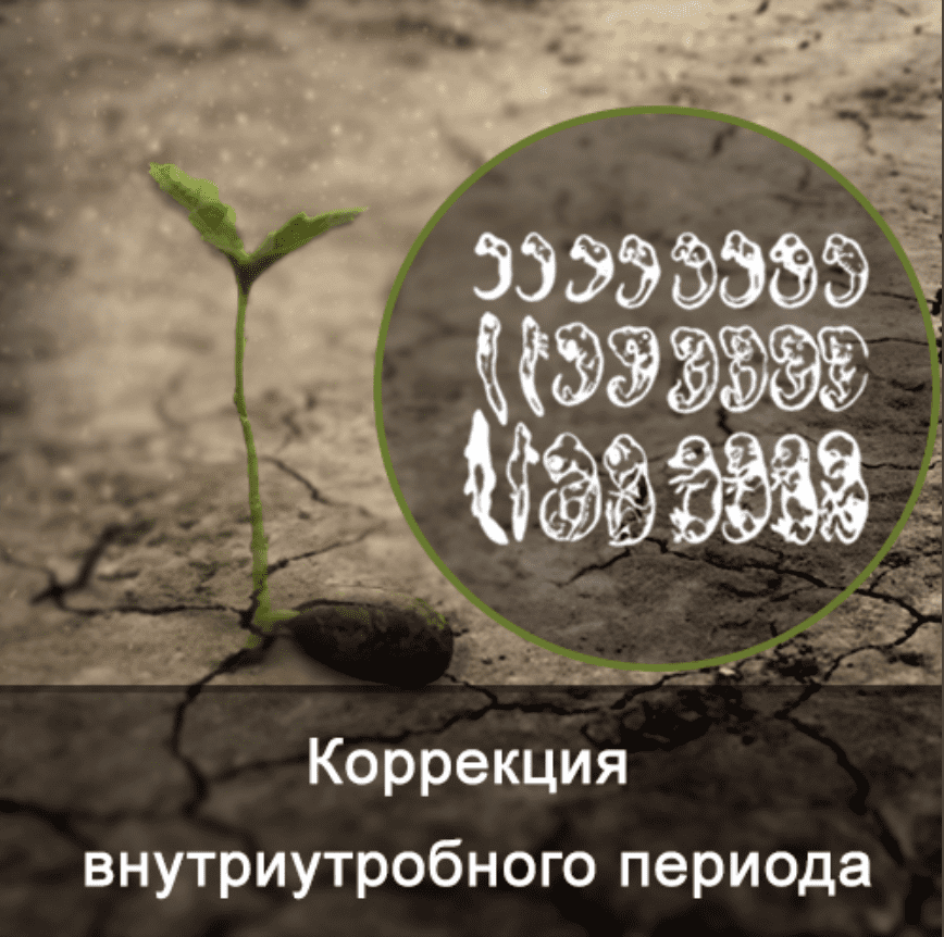 Изображение [Ксения Меньшикова] Коррекция внутриутробного развития (2021) в посте 252432