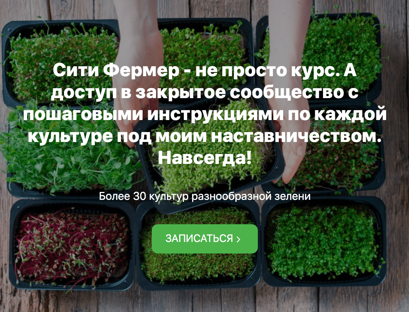 Изображение [Михаил Попов] Сити Фермер: Свежая микрозелень у вас дома за одну неделю (2021) в посте 252774