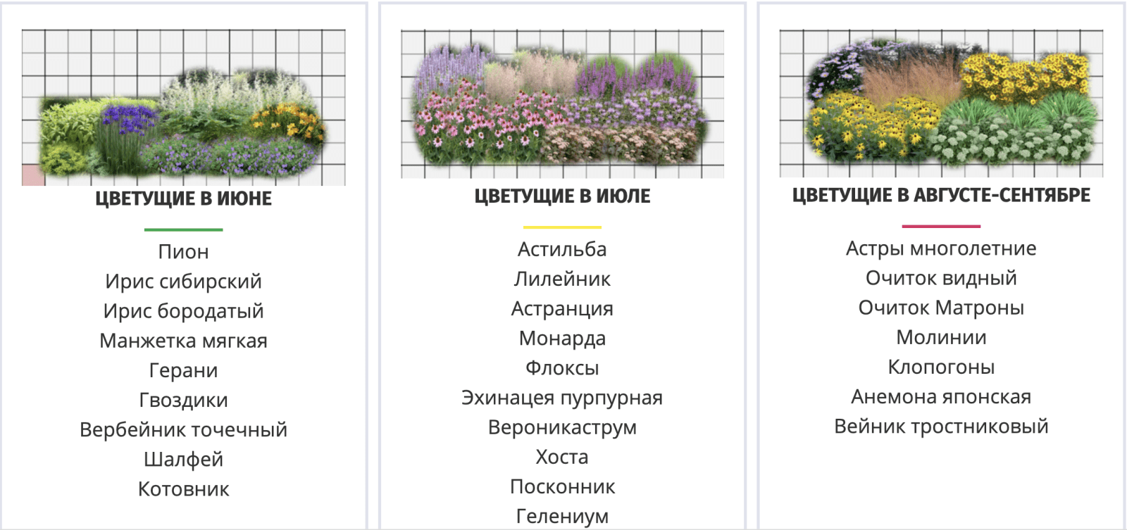 Изображение [Наталья Мягкова] Готовые планы цветников из многолетников, растущих на каждом участке (2022) в посте 264981